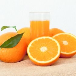 Organic farming Navelina orange for juice