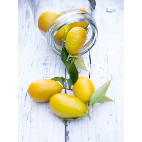 Combined limequat with lemon