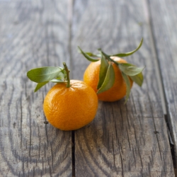 Organic antique tangerine